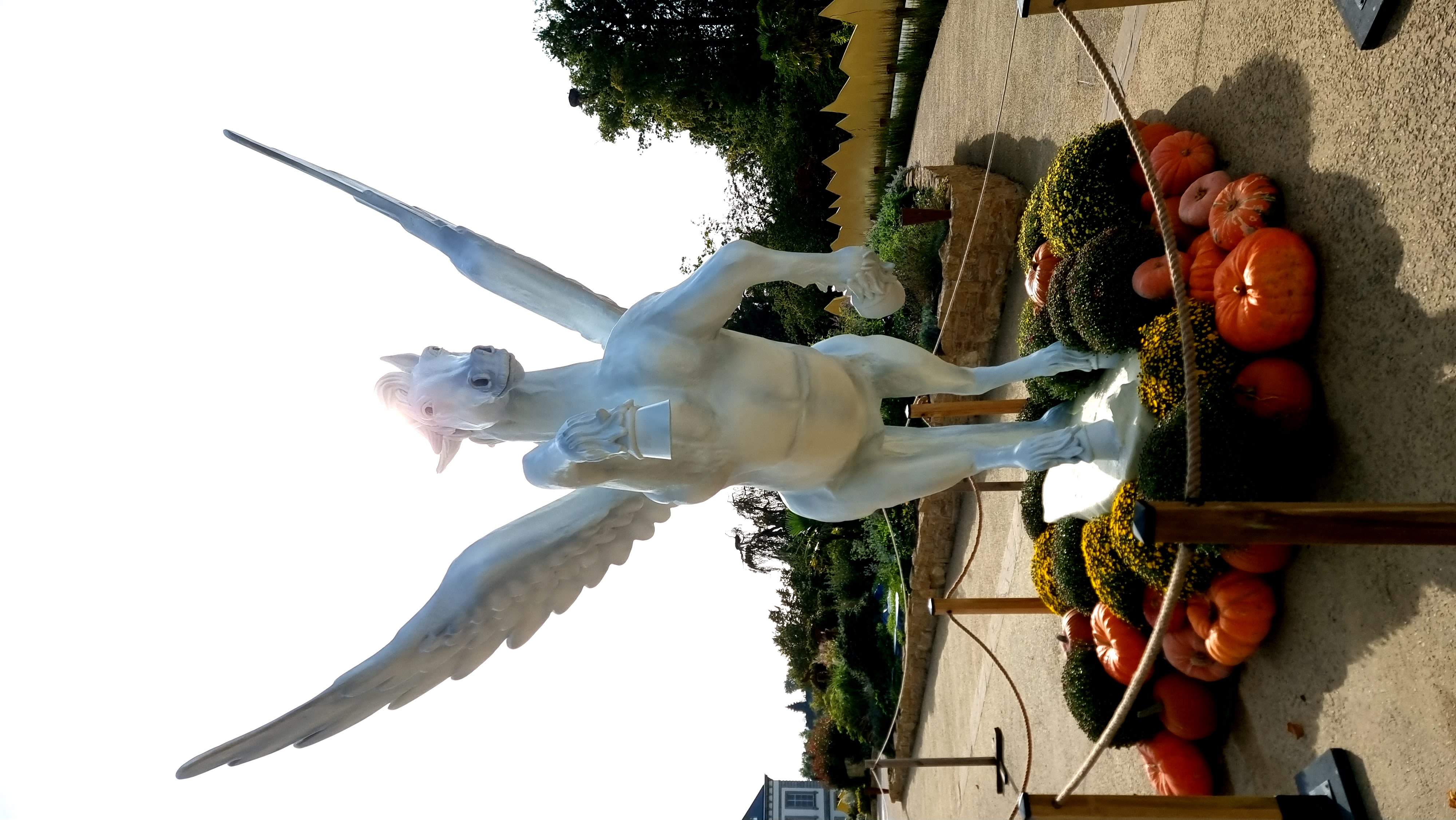 Pégase réalisé pour le parc PAIRI DAIZA