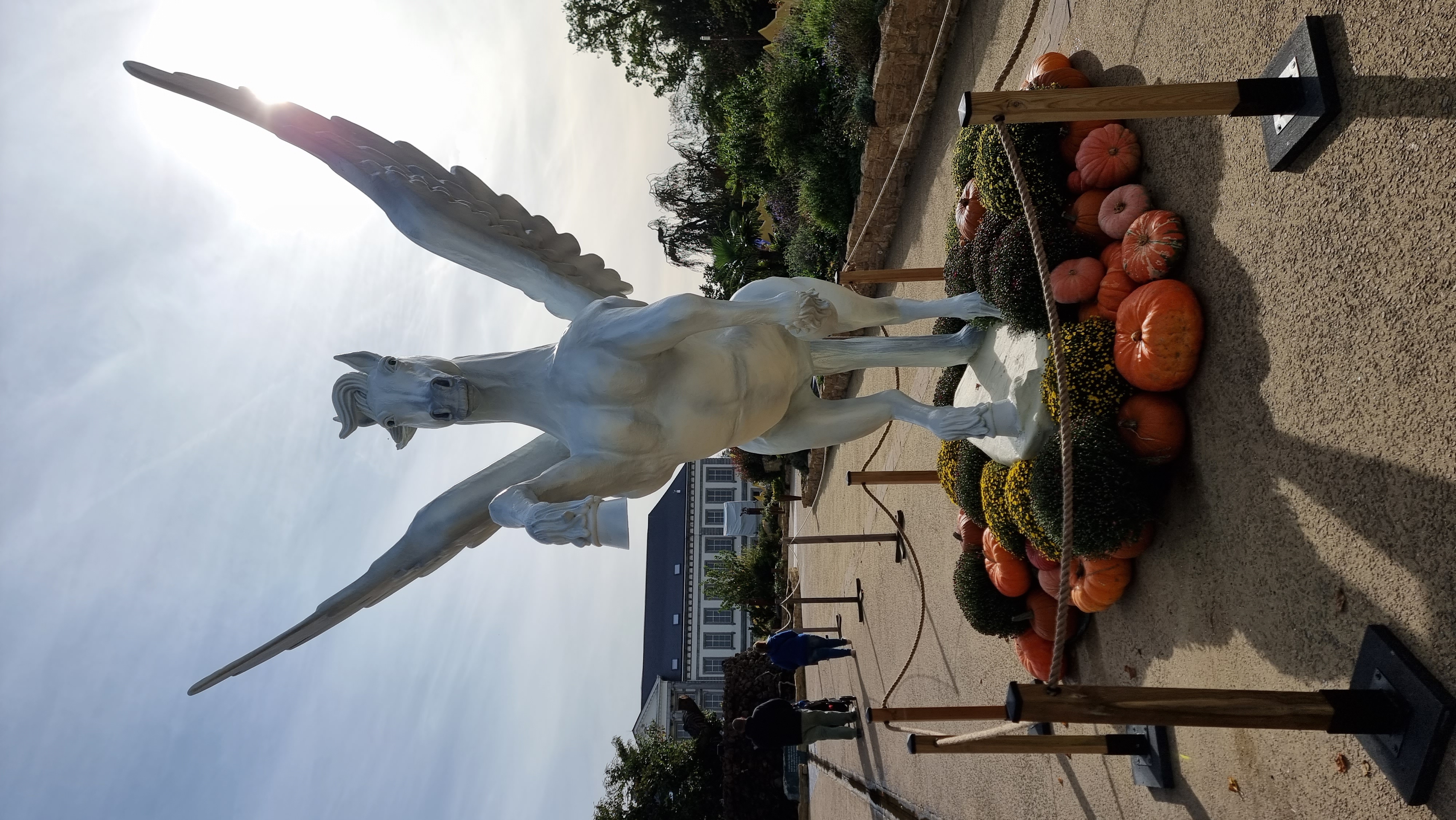 Pégase réalisé pour le parc PAIRI DAIZA