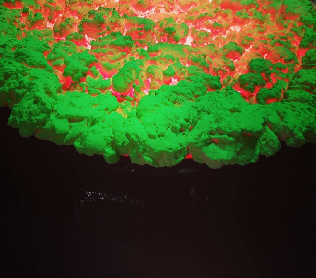 Sculpture pour halloween