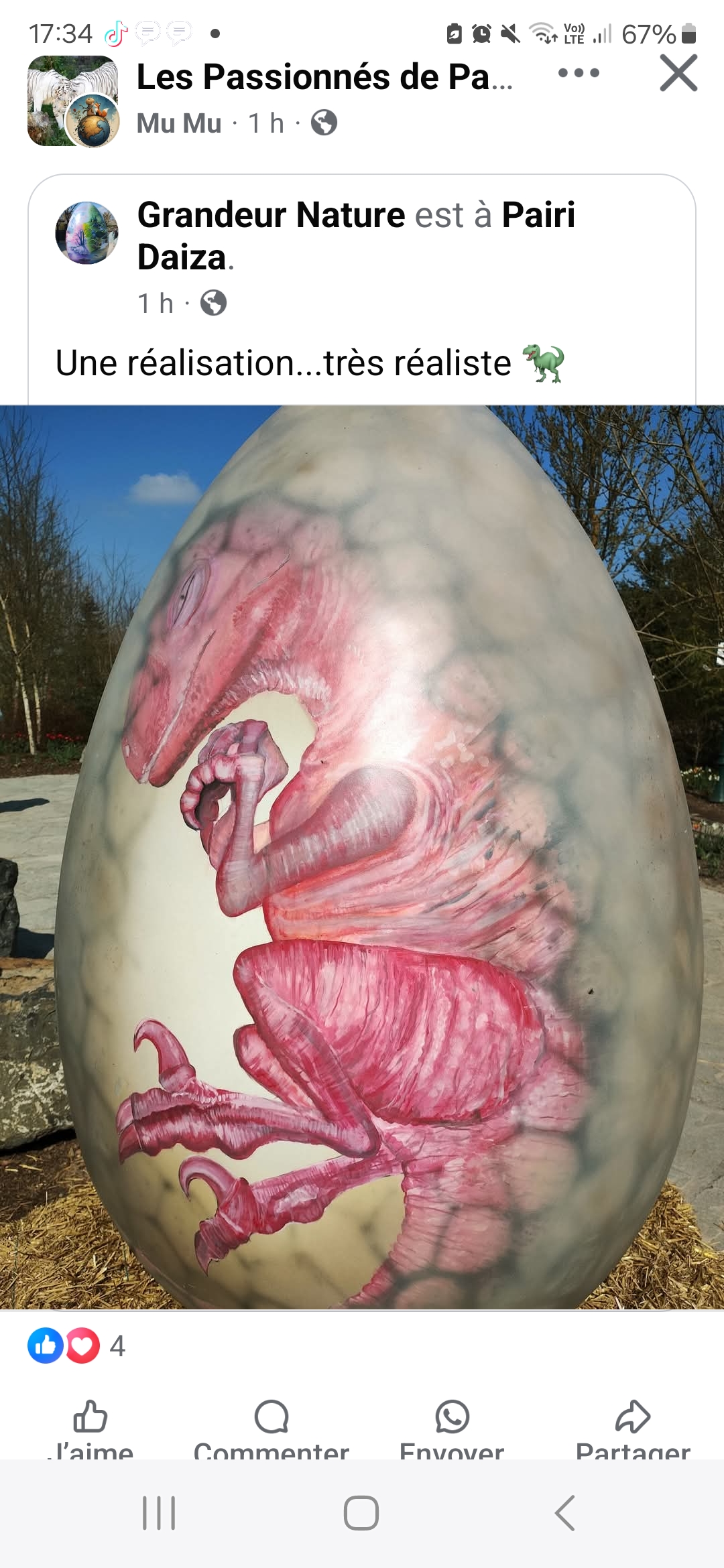 Peinture  sur oeuf géant pour le parc  Pairi daiza